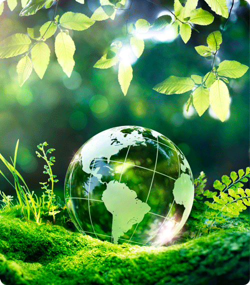 Koronea - ESG - Environmental